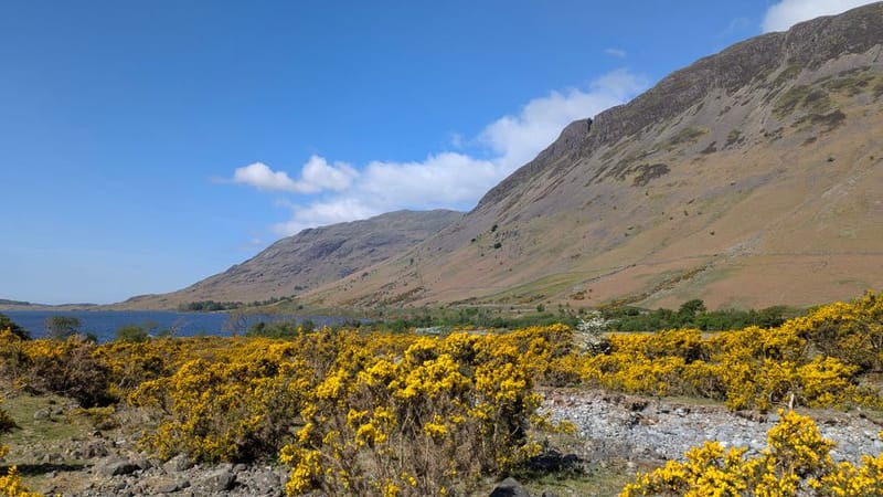 Top 10 Pet-Friendly Hotels in the Lake District (2026)