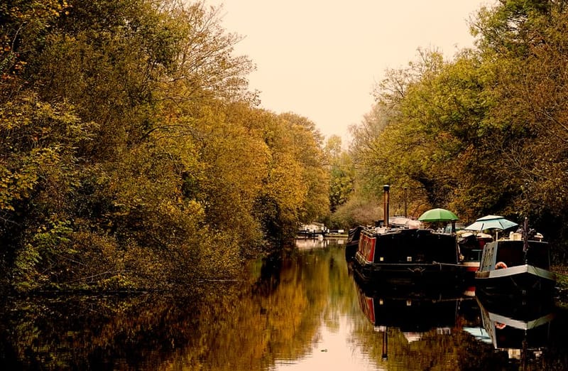 Dog-Friendly Narrowboat & Canal Holidays UK (2026)