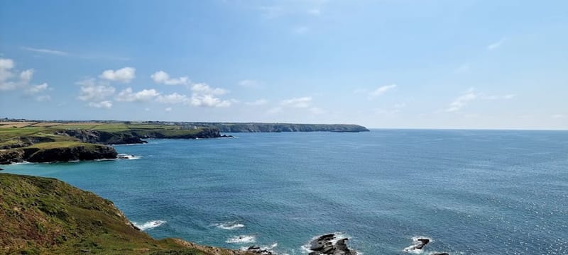 Pet-Friendly Cottages Cornwall: The 2026 Booking Guide