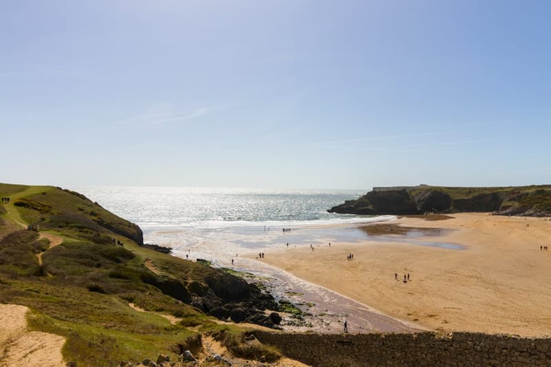 Dog-Friendly Pembrokeshire Coast 2026: Tenby to St Davids