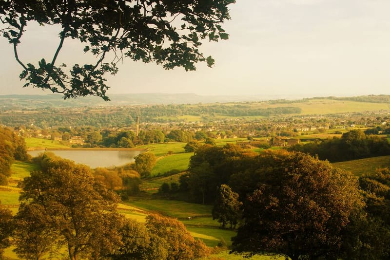 Dog-Friendly Forest of Bowland & Lancashire (2026)