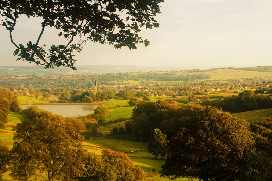 Dog-Friendly Forest of Bowland & Lancashire (2026)