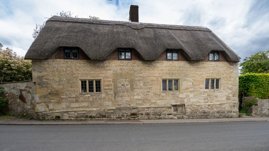 Cottages.com Pet-Friendly Review: An Honest Assessment
