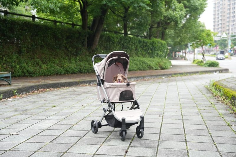 Pet stroller for dogs representing the best UK dog strollers 2026