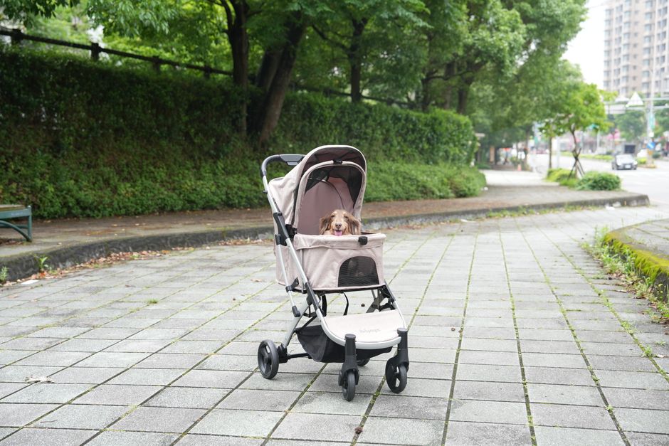 Pet stroller for dogs representing the best UK dog strollers 2026