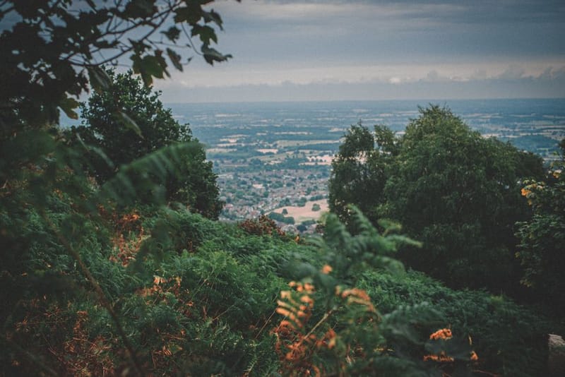 Dog-Friendly Malvern Hills: Walks & Days Out
