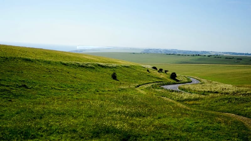 Dog-Friendly Sussex: The Complete Guide for 2026