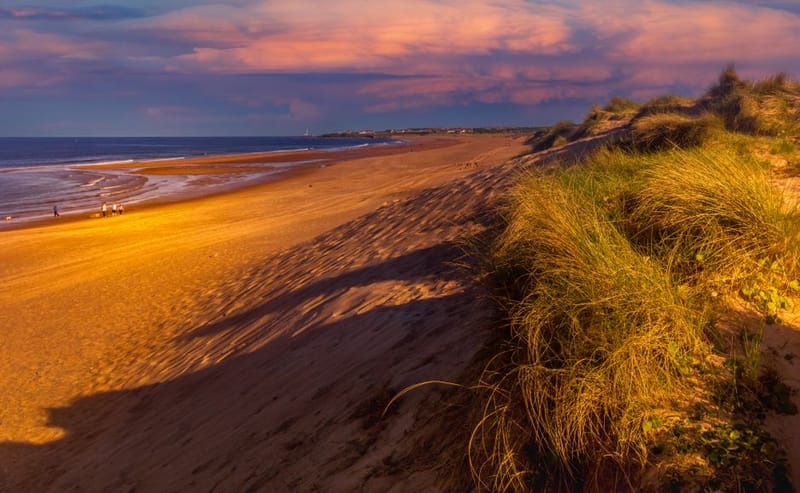 Dog-Friendly Lincolnshire Coast & Wolds (2026 Guide)
