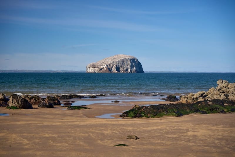 Dog-Friendly Beaches in Scotland: A Complete 2026 Guide