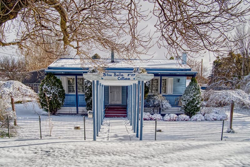 Dog-Friendly Christmas Breaks UK 2026: 10 Best Picks