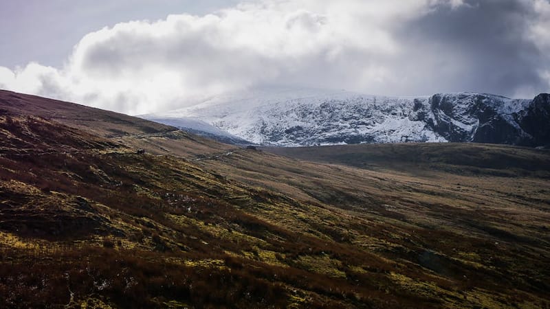 Dog-Friendly Snowdonia 2026: Walks, Beaches & Stays