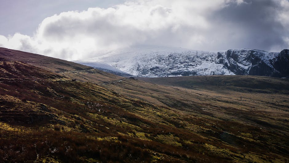 Dog-Friendly Snowdonia 2026: Walks, Beaches & Stays