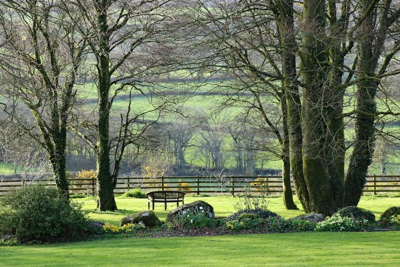 Pet-Friendly Cottages Devon: The 2026 Booking Guide