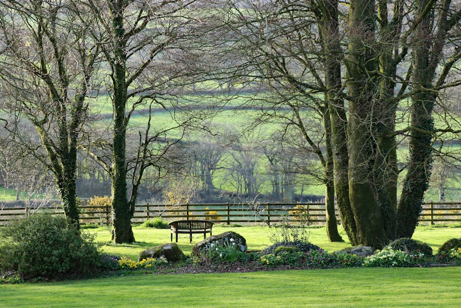 Pet-Friendly Cottages Devon: The 2026 Booking Guide