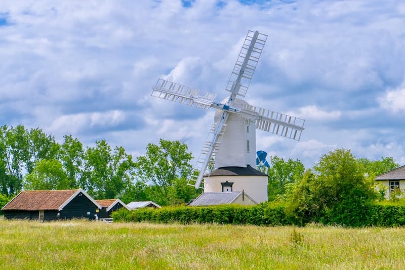 Dog-Friendly Suffolk: The Complete Guide for 2026