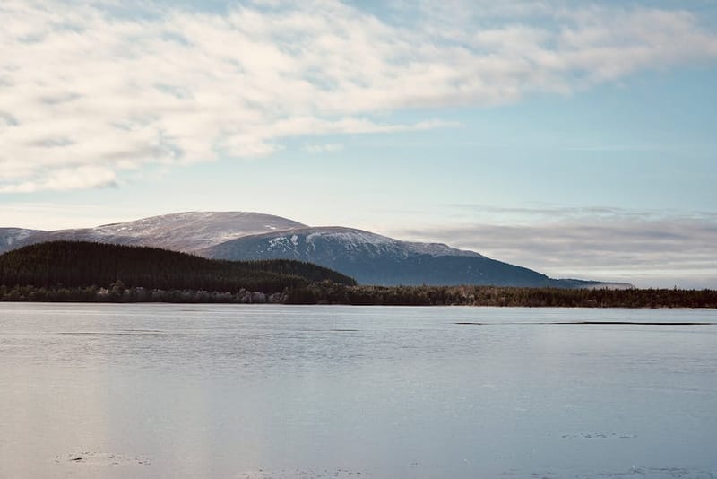 Dog-Friendly Cairngorms: National Park Guide 2026