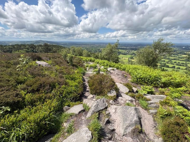 Dog-Friendly Cheshire: 2026 Guide
