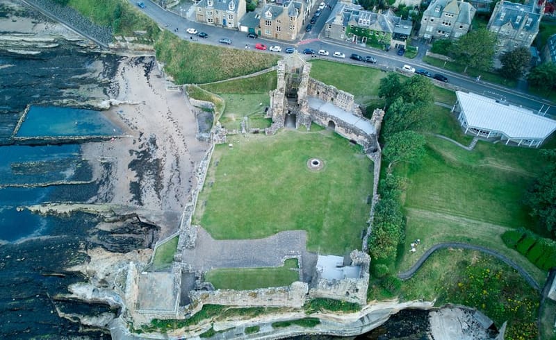Dog-Friendly Fife & St Andrews: 2026 Guide