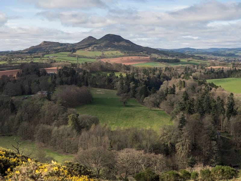 Dog-Friendly Scottish Borders (2026)