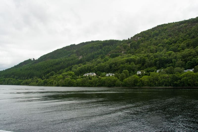 Dog-Friendly Dumfries & Galloway: 2026 Guide