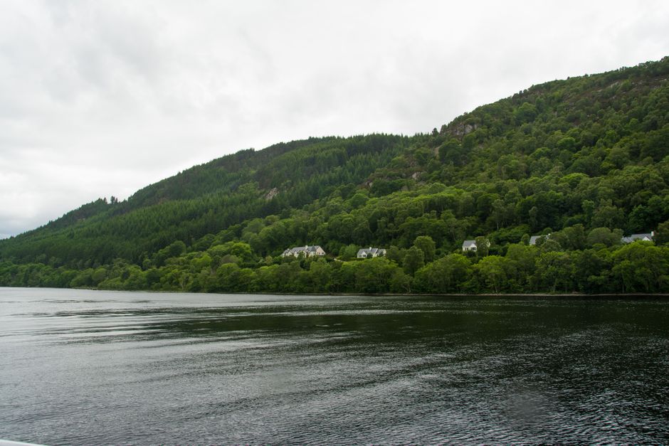 Dog-Friendly Dumfries & Galloway: 2026 Guide