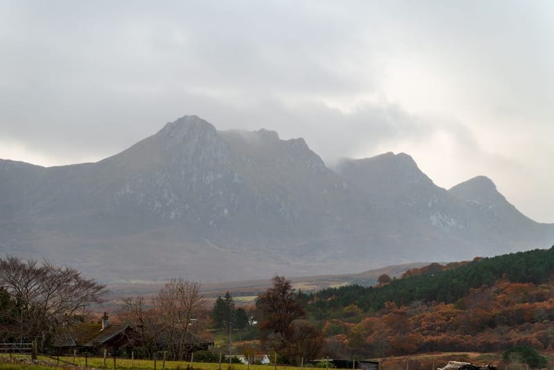 Dog-Friendly Isle of Arran: 2026 Guide