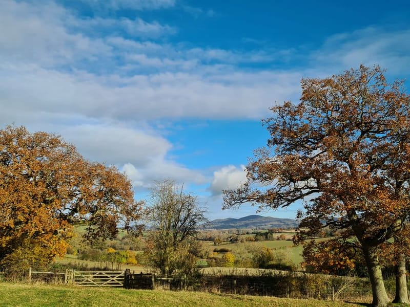 Dog-Friendly Herefordshire (2026)
