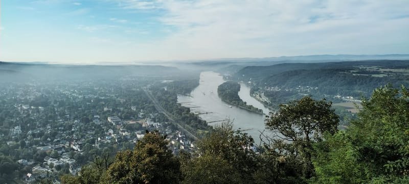 Dog-Friendly Wye Valley: 2026 Guide