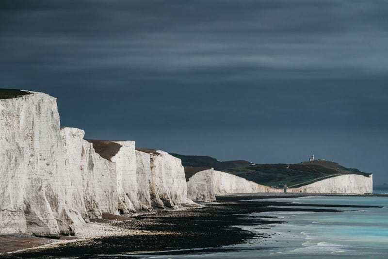 Dog-Friendly South Downs National Park: 2026 Guide