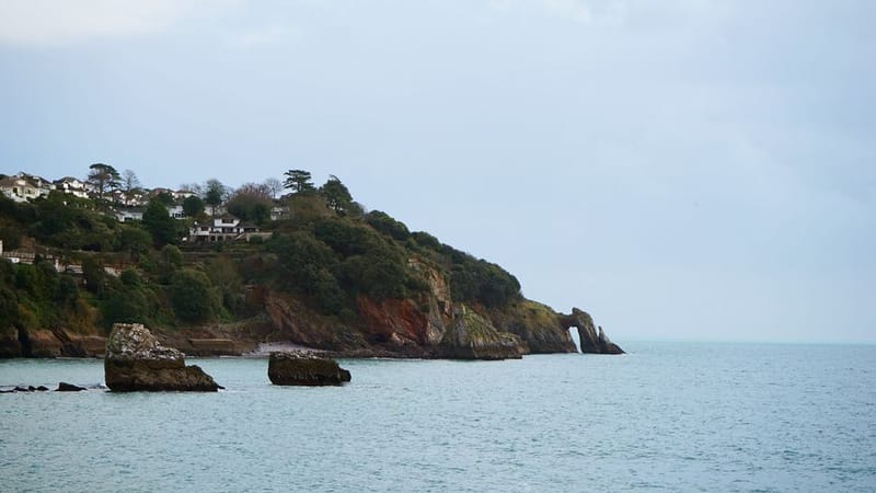 Top 10 Pet-Friendly Hotels Devon Riviera 2026