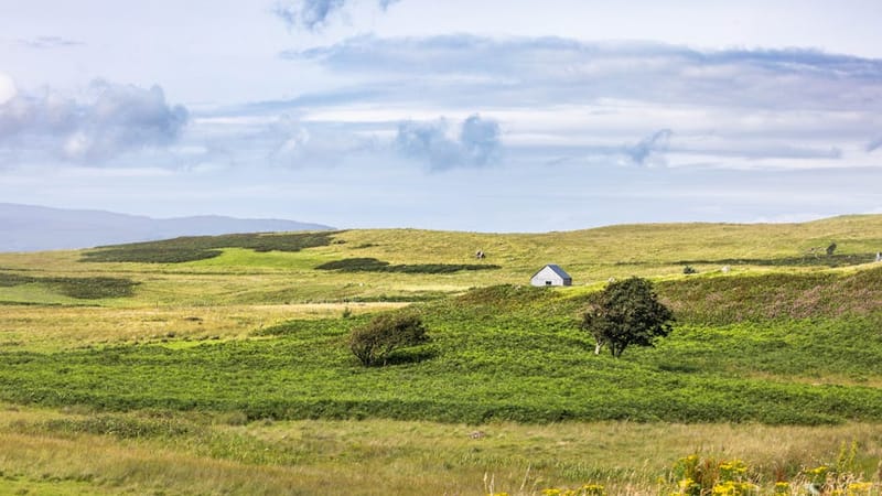 Pet-Friendly Cottages Scottish Highlands: 2026 Guide