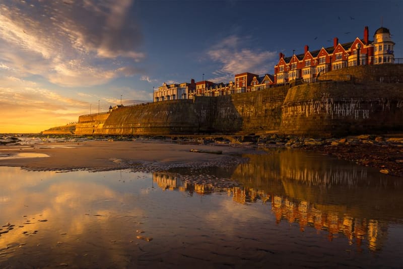 Best Dog-Friendly Hotels Near UK Beaches (2026)
