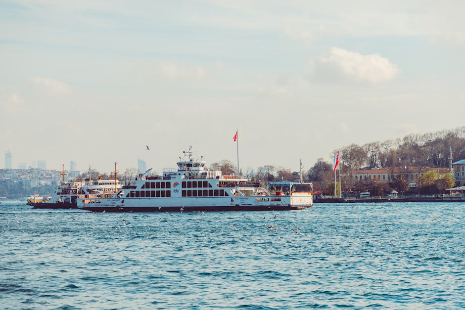 Can I Take My Dog on a UK Ferry? (2026 Operator Guide)