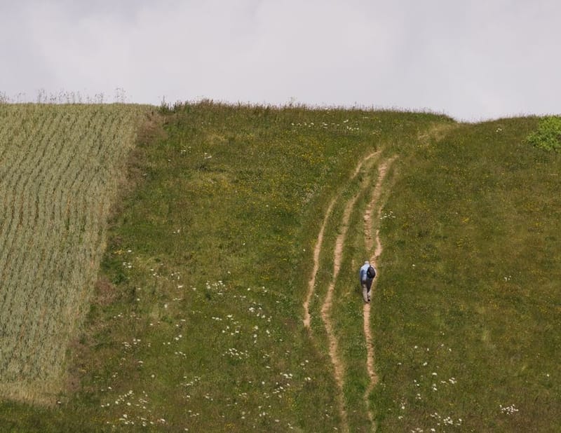 Dog-Friendly Long-Distance Walking Trails UK