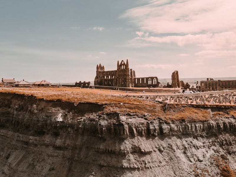 Dog-Friendly North Yorkshire Coast 2026: Whitby to Filey