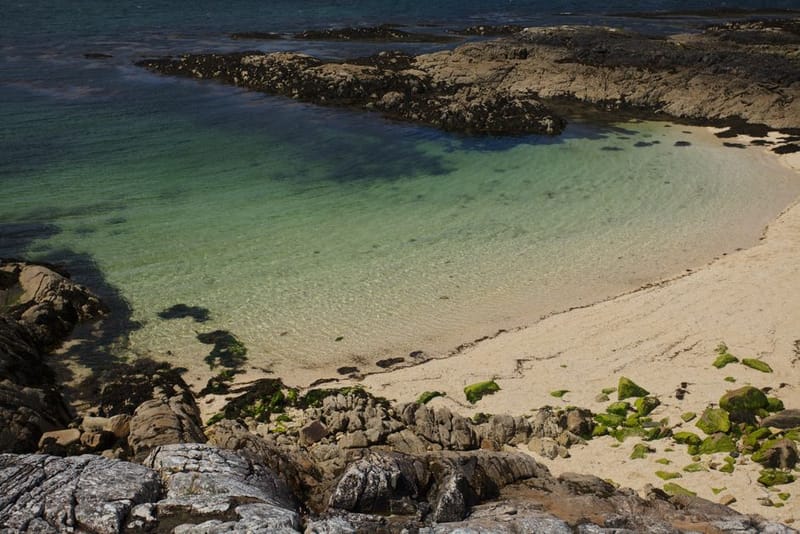 Dog-Friendly Isles of Scilly: The Complete Guide