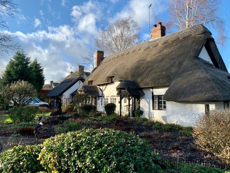 Cottages.com Pet-Friendly Review: An Honest Assessment