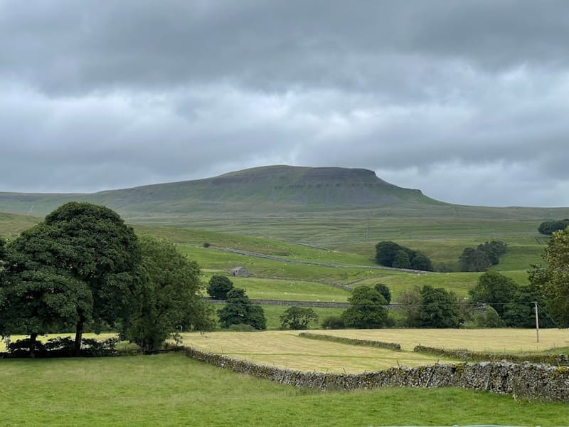 Pet-Friendly Cottages Yorkshire Dales: 2026 Booking Guide
