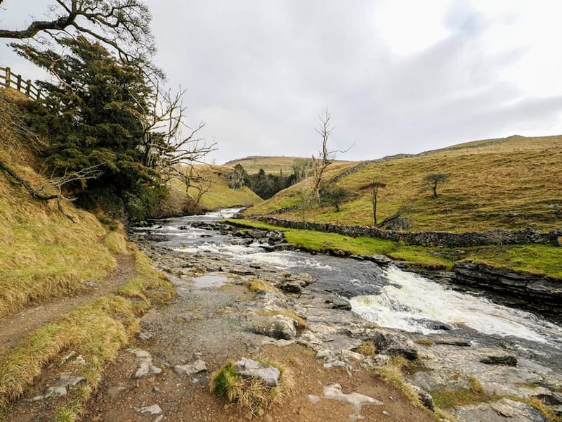 Dog-Friendly Yorkshire Dales: Walks, Pubs & Stays 2026